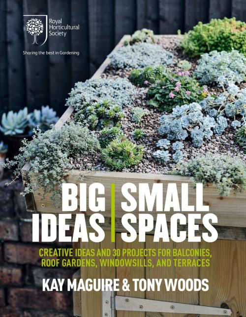 Cover of the book RHS Big Ideas, Small Spaces by Kay Maguire, Tony Woods, Octopus Books