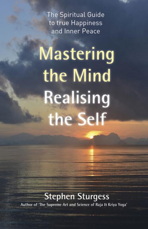 Cover of the book Mastering the Mind, Realising the Self by Stephen Sturgess, John Hunt Publishing