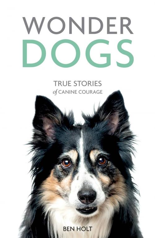 Cover of the book Wonder Dogs: True Stories of Canine Courage by Ben Holt, Summersdale Publishers Ltd