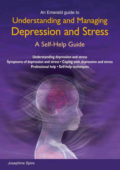 Cover of the book Understanding And Managing Depression And Stress by Josephine Spire, Straightforward Publishing