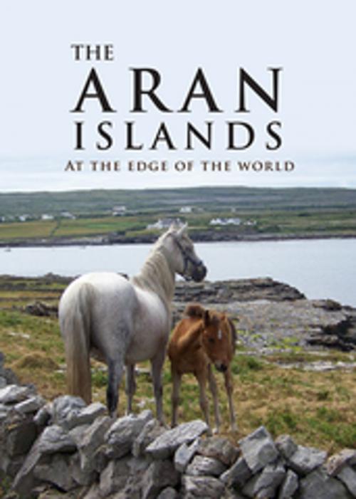 Cover of the book The Aran Islands by Curriculum Development Unit, The O'Brien Press