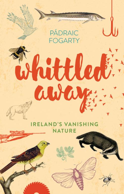 Cover of the book Whittled Away by Padraic Fogarty, Gill Books