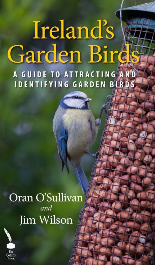Cover of the book Ireland's Garden Birds: A Guide to Attracting and Identifying Garden Birds by Jim Wilson, Oran O'Sullivan, The Collins Press