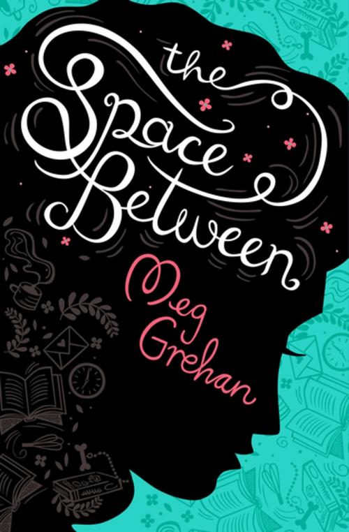 Cover of the book The Space Between by Meg Grehan, Little Island Books