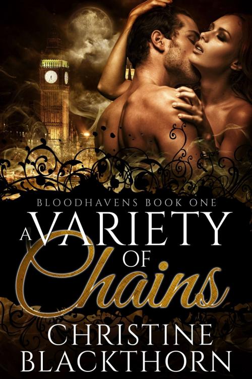 Cover of the book A Variety of Chains by Christine Blackthorn, Sinful Press