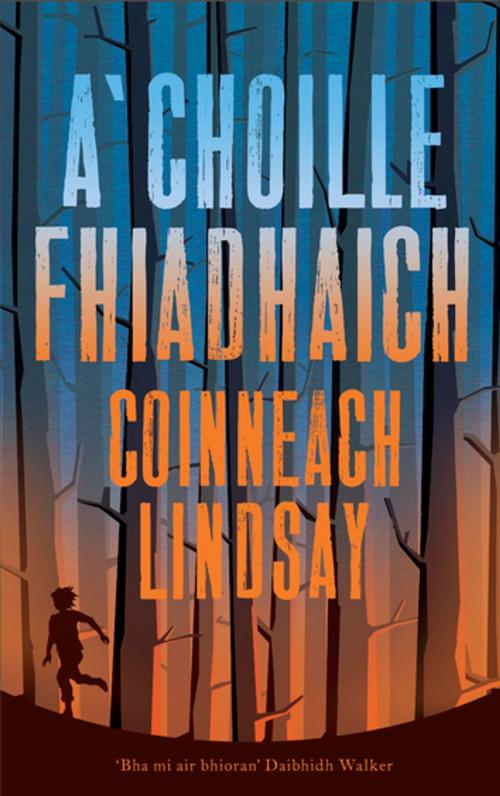 Cover of the book A'Choille Fhiadhach by Kenny Lindsay, Sandstone Press Ltd