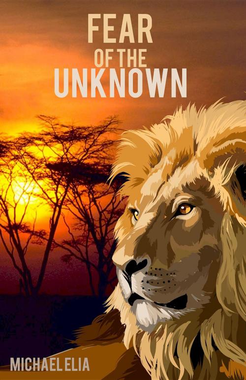 Cover of the book Fear of the Unknown by Michael Elia, Rowanvale Books Ltd
