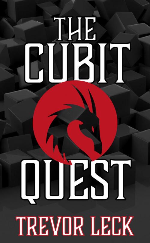 Cover of the book The Cubit Quest by Trevor Leck, Clink Street Publishing