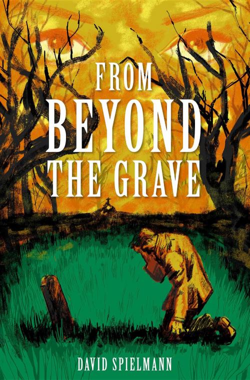 Cover of the book From Beyond the Grave by David Spielmann, Spiderwize