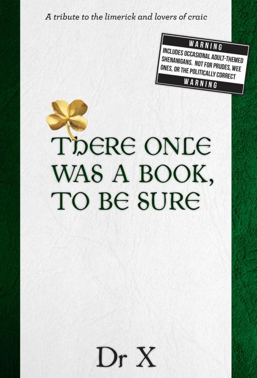 Cover of the book There Once Was a Book, To Be Sure … by Dr X, Vivid Publishing