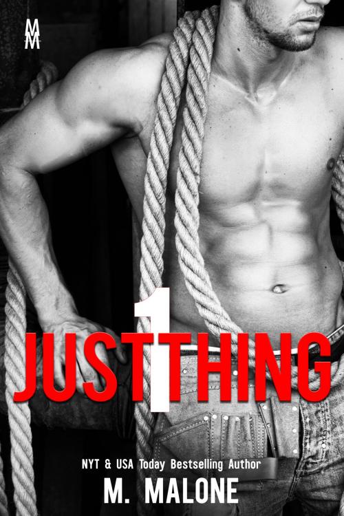 Cover of the book Just One Thing by M. Malone, CrushStar Romance