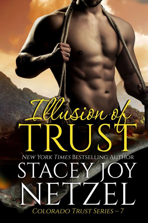 Cover of the book Illusion of Trust by Stacey Joy Netzel, Stacey Joy Netzel