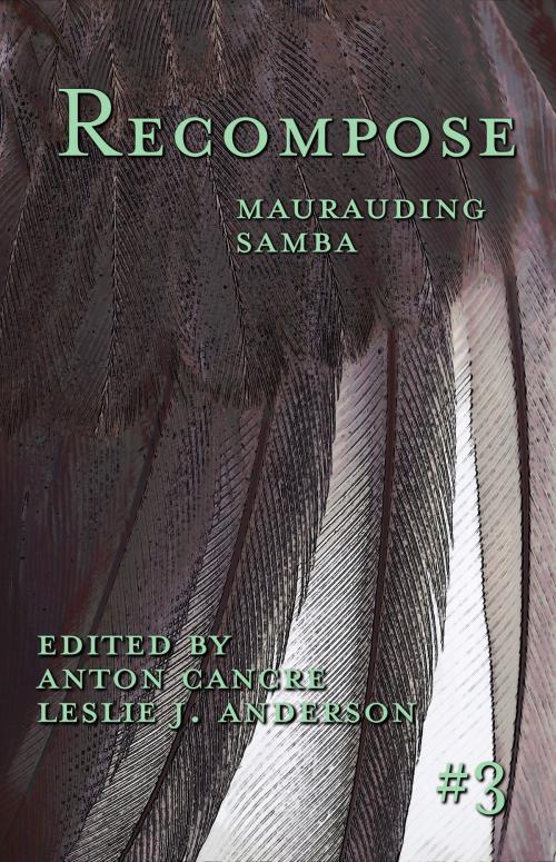 Cover of the book Maurauding Samba by , Alliteration Ink