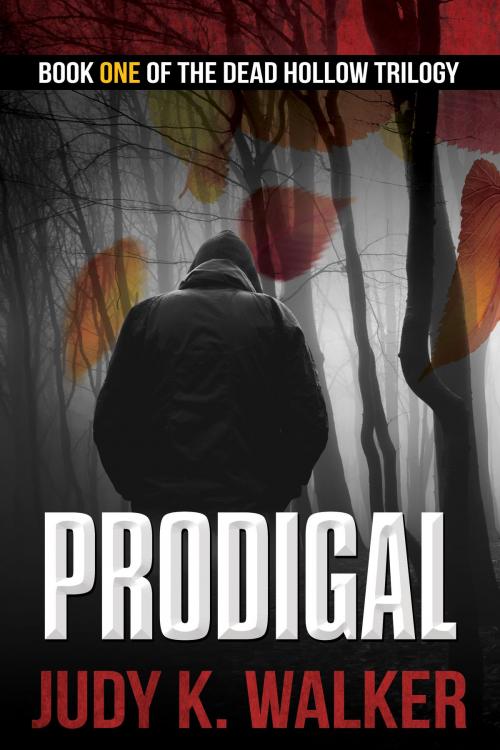 Cover of the book Prodigal by Judy K. Walker, Judy K. Walker