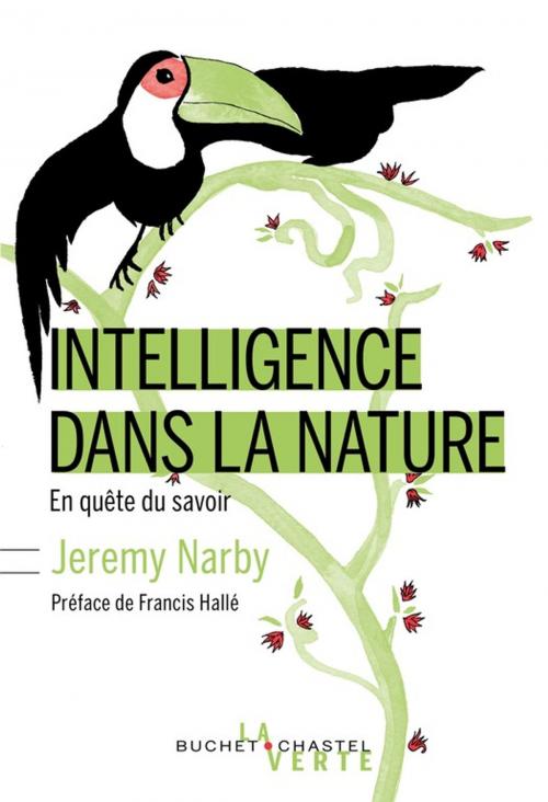 Cover of the book L'intelligence dans la nature by Jérémy Narby, Buchet/Chastel