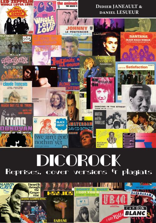 Cover of the book Dicorock by Didier Janeault, Camion Blanc