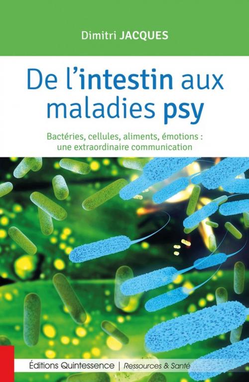 Cover of the book De l'intestin aux maladies psy by Dimitri Jacques, Éditions Quintessence
