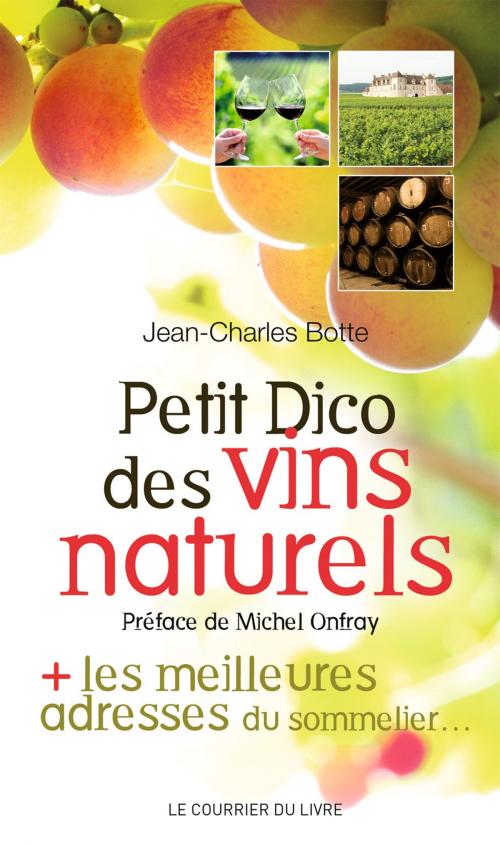 Cover of the book Petit Dico des vins naturels by Jean-Charles Botte, Le Courrier du Livre