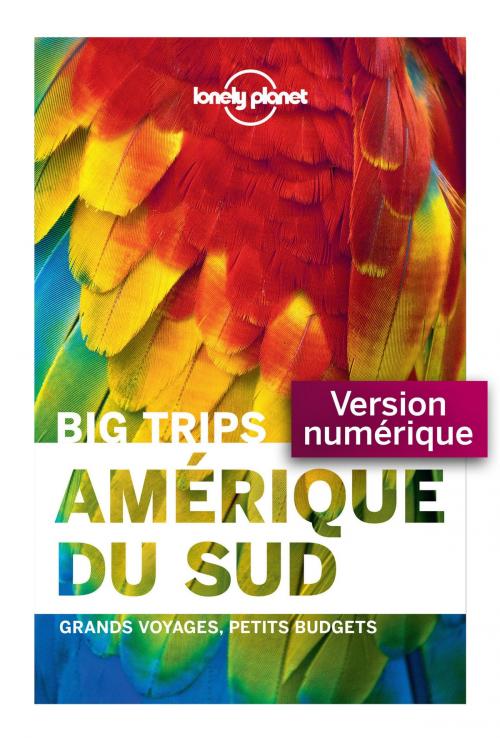 Cover of the book Big Trips - Amérique du sud by LONELY PLANET FR, edi8
