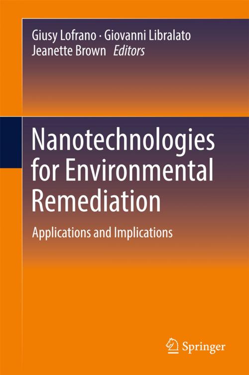 Cover of the book Nanotechnologies for Environmental Remediation by , Springer International Publishing
