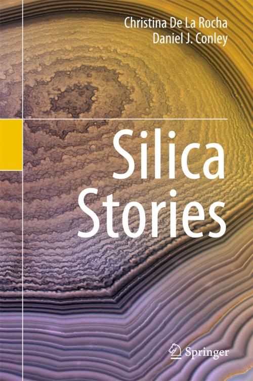 Cover of the book Silica Stories by Christina De La Rocha, Daniel J. Conley, Springer International Publishing
