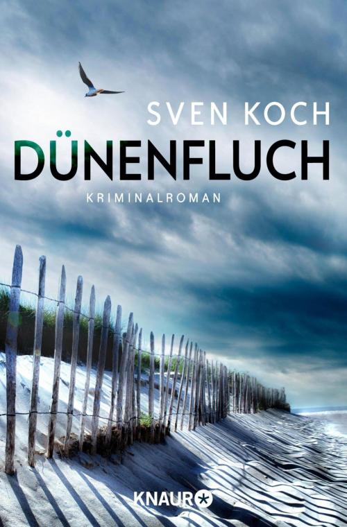 Cover of the book Dünenfluch by Sven Koch, Knaur eBook