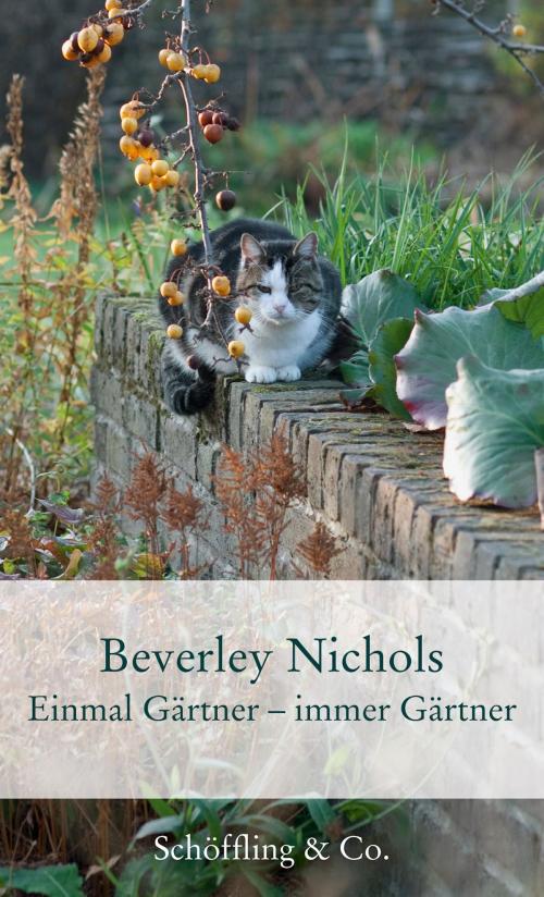 Cover of the book Einmal Gärtner - immer Gärtner by Beverley Nichols, Schöffling & Co.