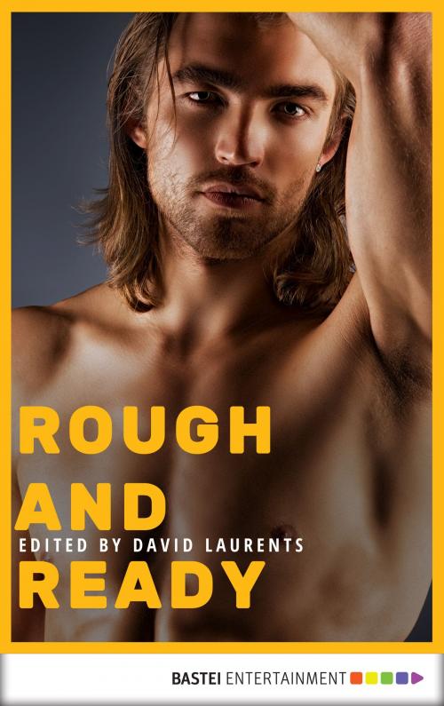 Cover of the book Rough and Ready by Adam McCabe, Alex Corey, Chris Leslie, David Evans, Dominic Santi, Don Shewey, Jameson Currier, Lawrence Schimel, Michael Lassell, Will Leber, Bastei Entertainment