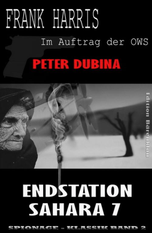 Cover of the book Endstation Sahara 7 (Frank Harris: Im Auftrag des OWS, Band 2) by Peter Dubina, BookRix