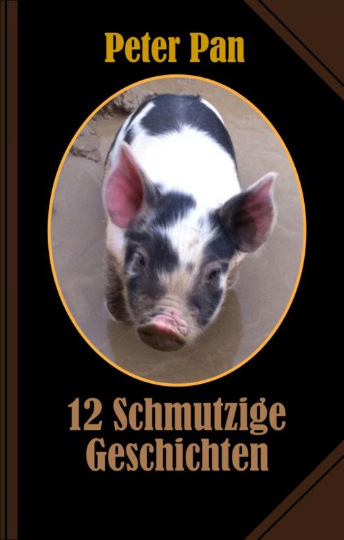 Cover of the book Schmutzige Geschichten by Peter Pan, BookRix