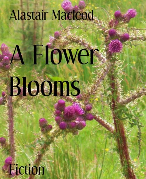 Cover of the book A Flower Blooms by Alastair Macleod, BookRix
