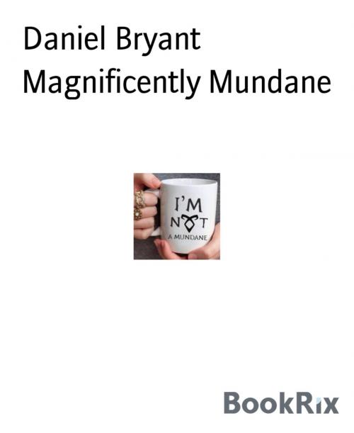 Cover of the book Magnificently Mundane by Daniel Bryant, BookRix