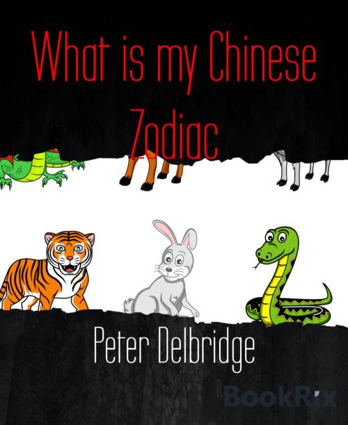 Cover of the book What is my Chinese Zodiac by Peter Delbridge, BookRix