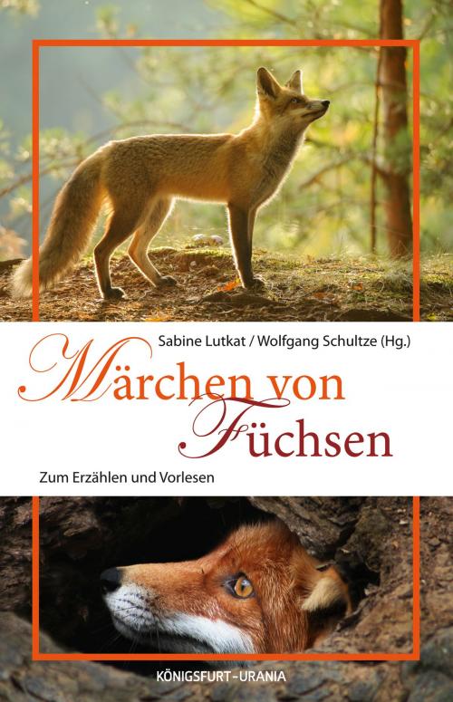 Cover of the book Märchen von Füchsen by , Königsfurt-Urania Verlag GmbH