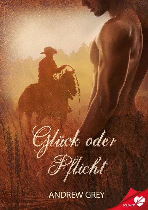 Cover of the book Glück oder Pflicht by Andrew Grey, Cursed Verlag