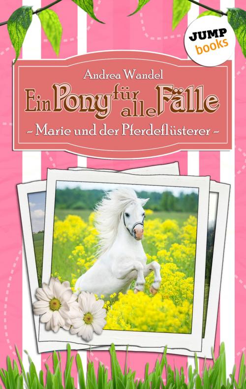 Cover of the book Ein Pony für alle Fälle - Fünfter Roman: Marie und der Pferdeflüsterer by Andrea Wandel, jumpbooks – ein Imprint der dotbooks GmbH