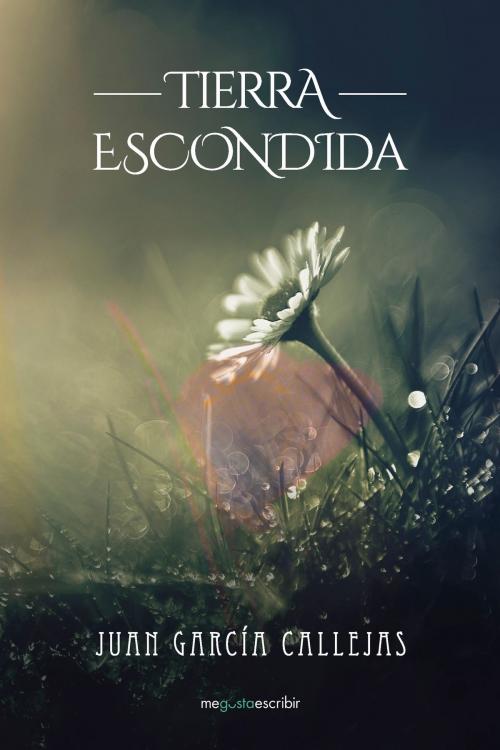 Cover of the book Tierra escondida by Juan García Callejas, Penguin Random House Grupo Editorial España