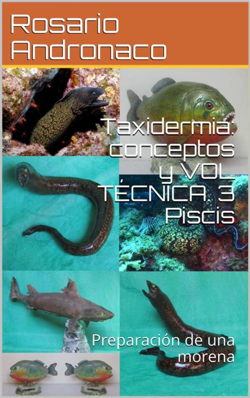 Cover of the book Taxidermia: conceptos y VOL TÉCNICA. 3 Piscis - Preparación de una morena by Rosario Andronaco, Rosario Andronaco