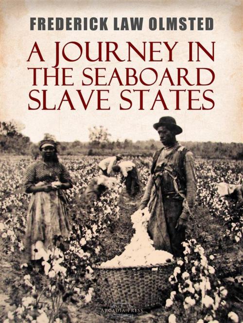 Cover of the book A Journey in the Seaboard Slave States by Frederick Law Olmsted, Arcadia Press