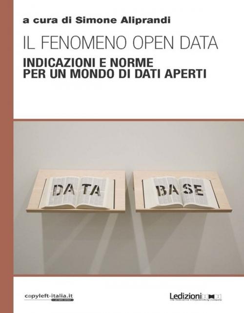 Cover of the book Il fenomeno open data by Collectif, Ledizioni
