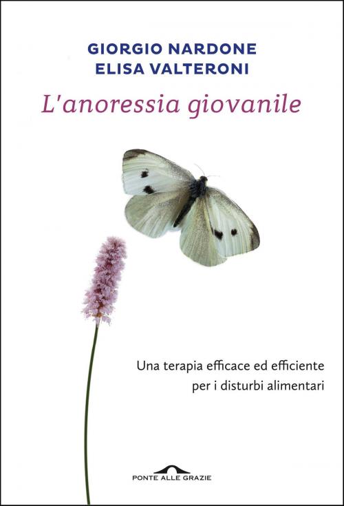 Cover of the book L'anoressia giovanile by Giorgio Nardone, Elisa Valteroni, Ponte alle Grazie