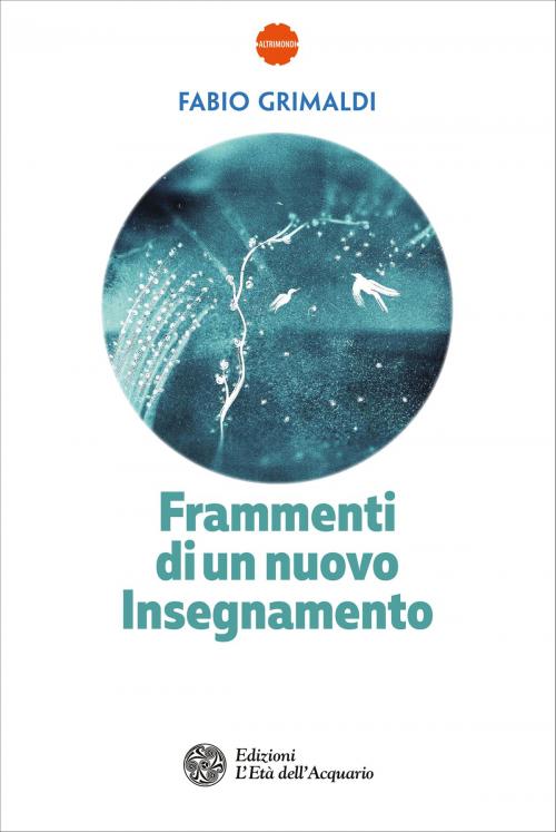 Cover of the book Frammenti di un nuovo Insegnamento by Fabio Grimaldi, L'Età dell'Acquario