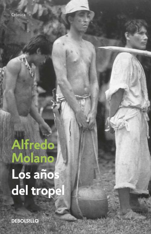 Cover of the book Los años del tropel by Alfredo Molano Bravo, Penguin Random House Grupo Editorial Colombia