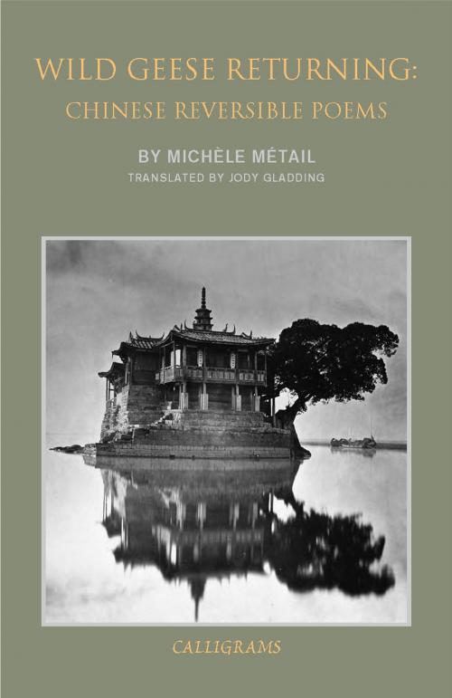 Cover of the book Wild Geese Returning by Michele Metail, New York Review Books