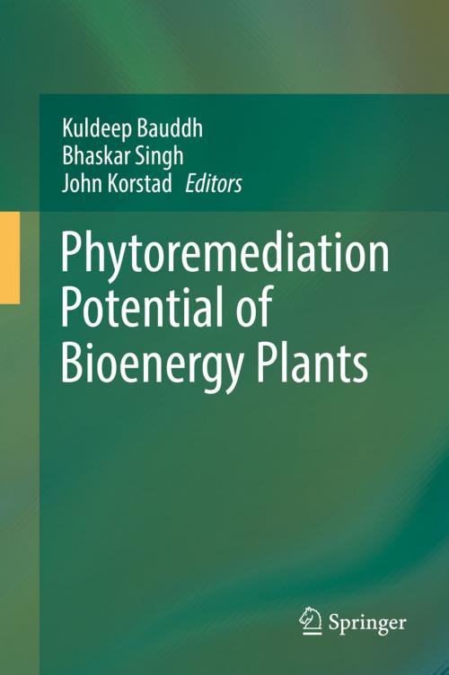 Cover of the book Phytoremediation Potential of Bioenergy Plants by , Springer Singapore
