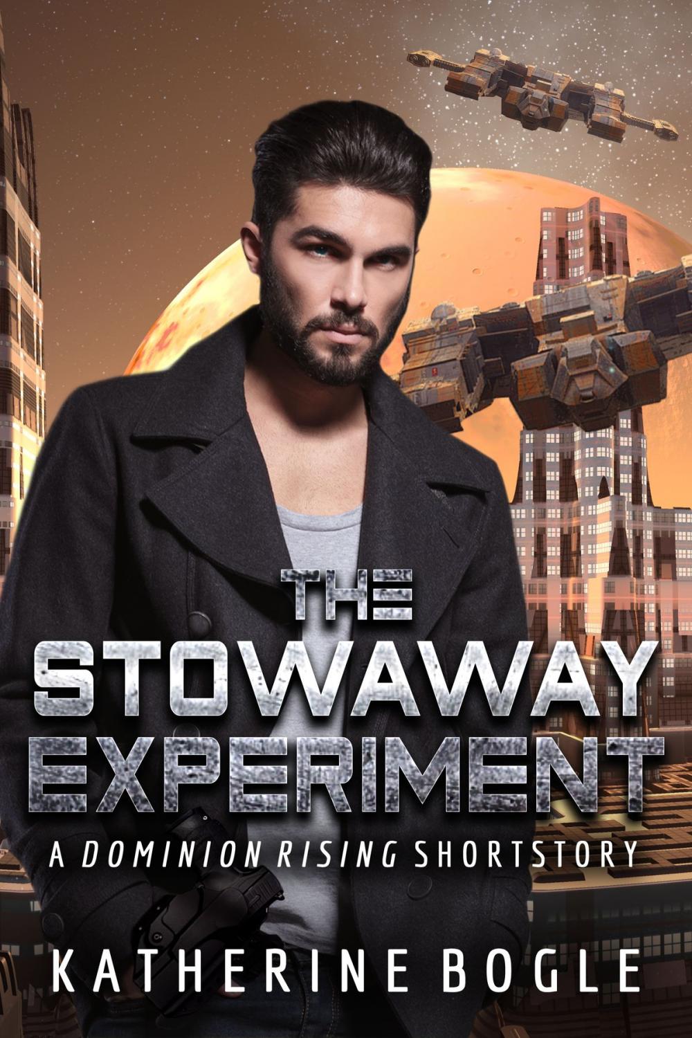 Big bigCover of The Stowaway Experiment