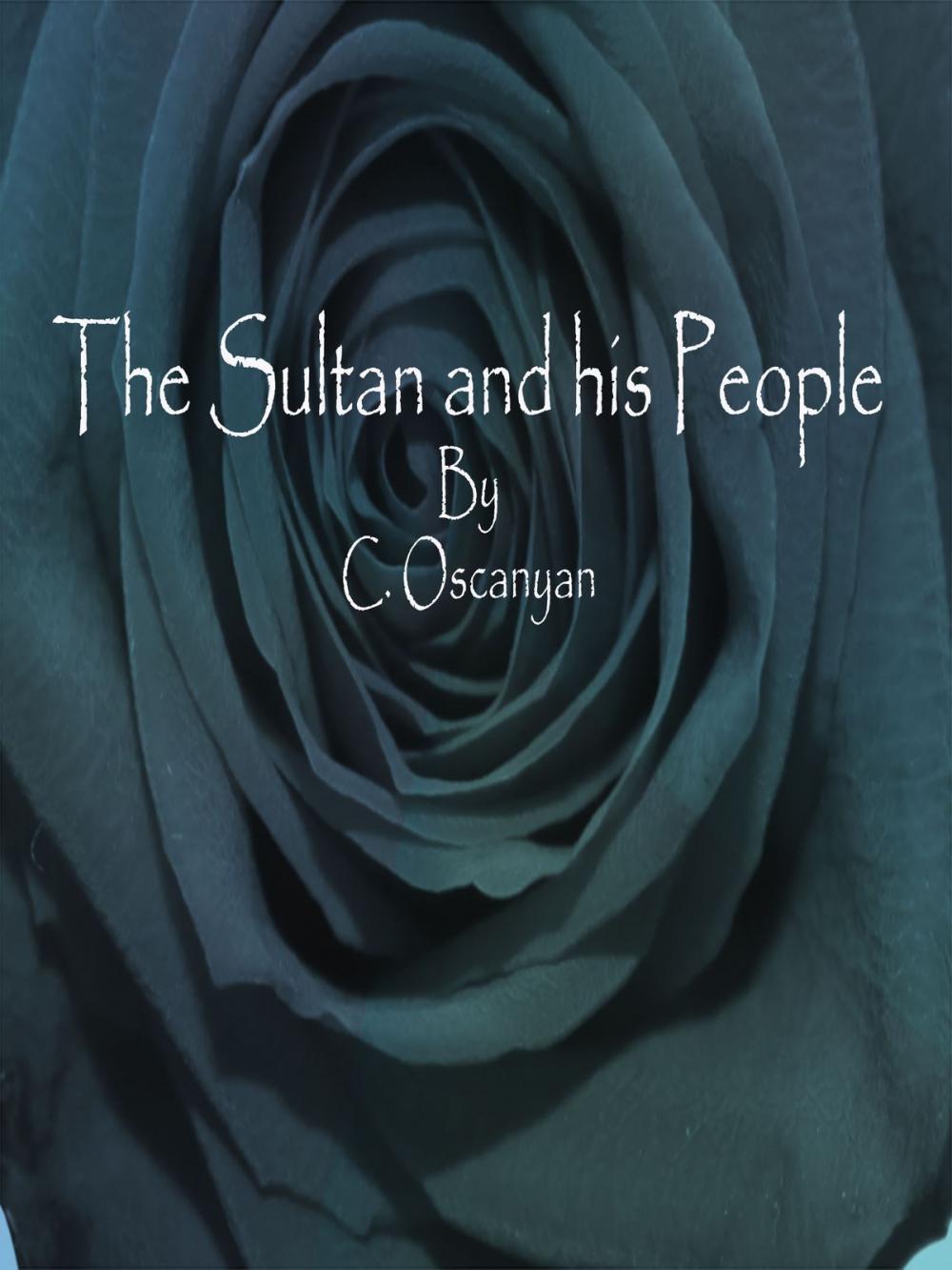 Big bigCover of The Sultan and his People