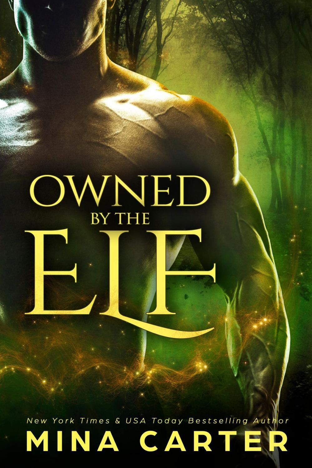 Big bigCover of Owned by the Elf