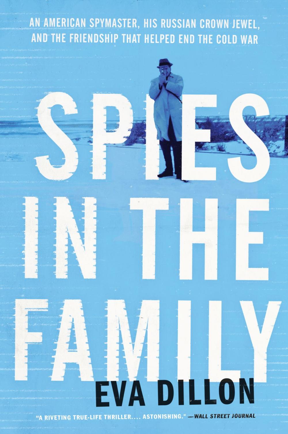 Big bigCover of Spies in the Family