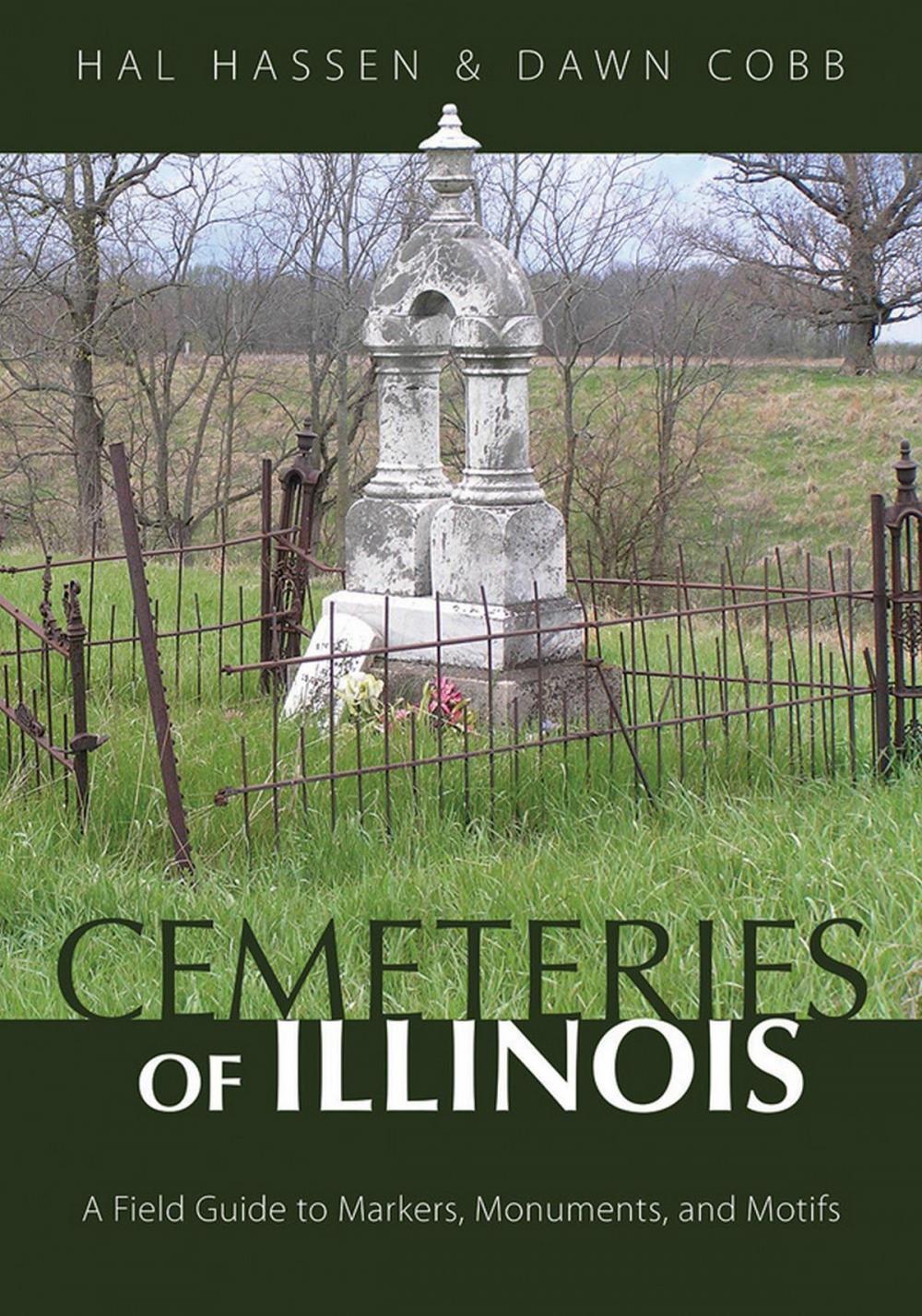 Big bigCover of Cemeteries of Illinois